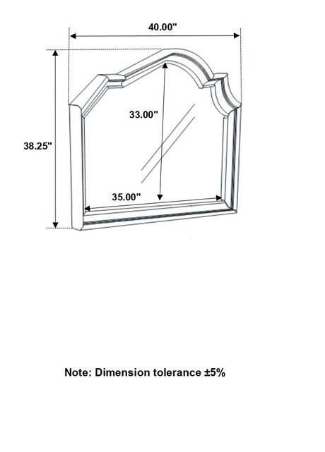 Manchester Wheat Mirror (Mirror Only) from Coaster - Luna Furniture