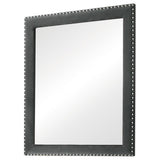 Melody Gray Rectangular Upholstered Dresser Mirror (Mirror Only) from Coaster - Luna Furniture