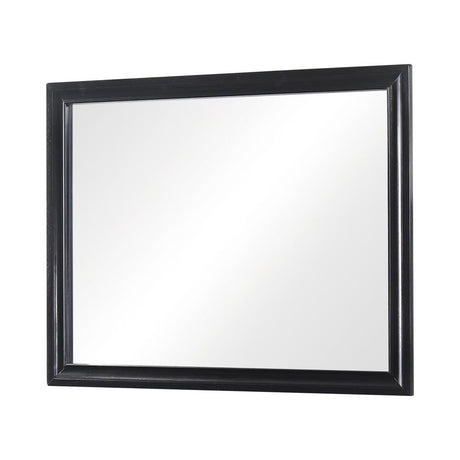 Miranda Black Rectangular Mirror (Mirror Only) from Coaster - Luna Furniture