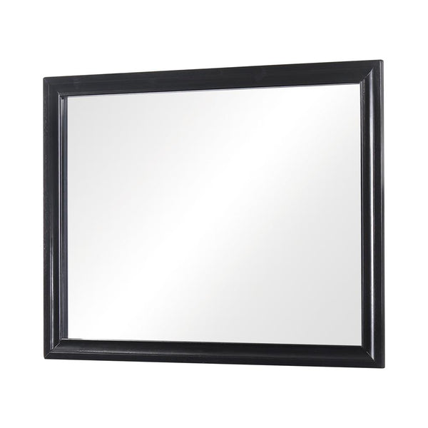 Miranda Black Rectangular Mirror (Mirror Only)