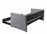 Mockern Gray Tufted Upholstered Daybed with Trundle from Coaster - Luna Furniture