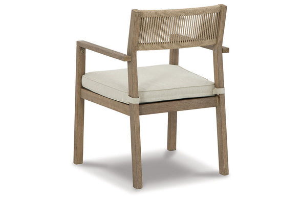 Aria Plains Brown Arm Chair with Cushion, Set of 2