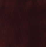 Palmer Merlot and Brass 2-Tier Serving Cart from Coaster - Luna Furniture