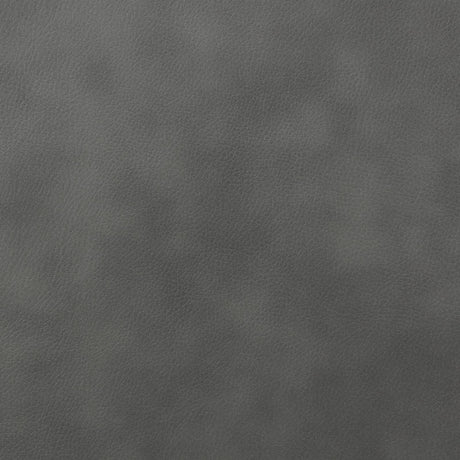 Raelynn Gray 3-Piece Upholstered Motion Reclining Sofa Set from Coaster - Luna Furniture