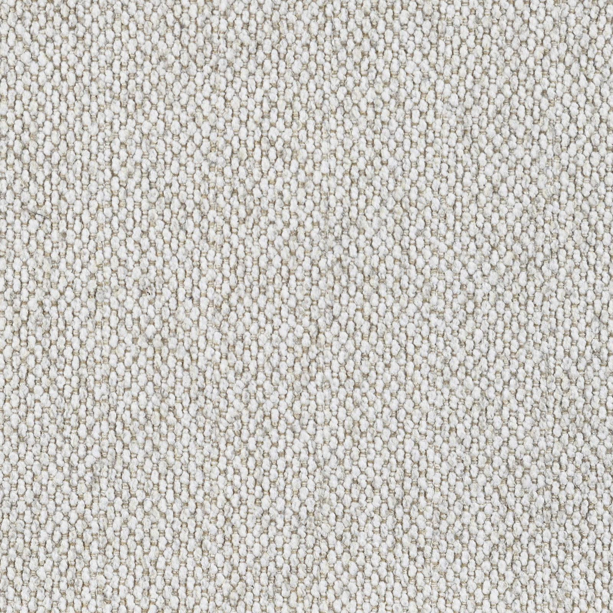 Rainn Latte Upholstered Tight Back Chair from Coaster - Luna Furniture