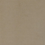 Rainn Latte Upholstered Tight Back Loveseat from Coaster - Luna Furniture