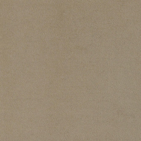 Rainn Latte Upholstered Tight Back Sofa from Coaster - Luna Furniture