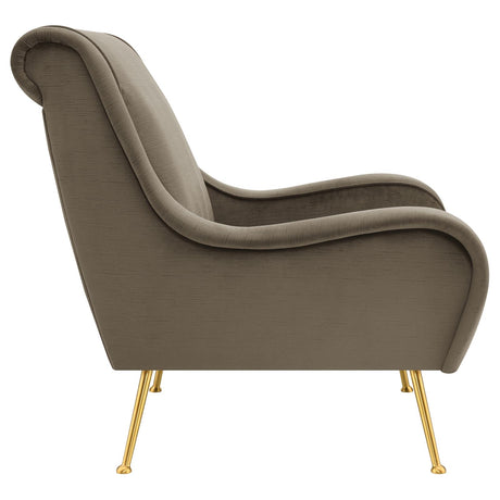Ricci Truffle and Gold Upholstered Saddle Arms Accent Chair from Coaster - Luna Furniture
