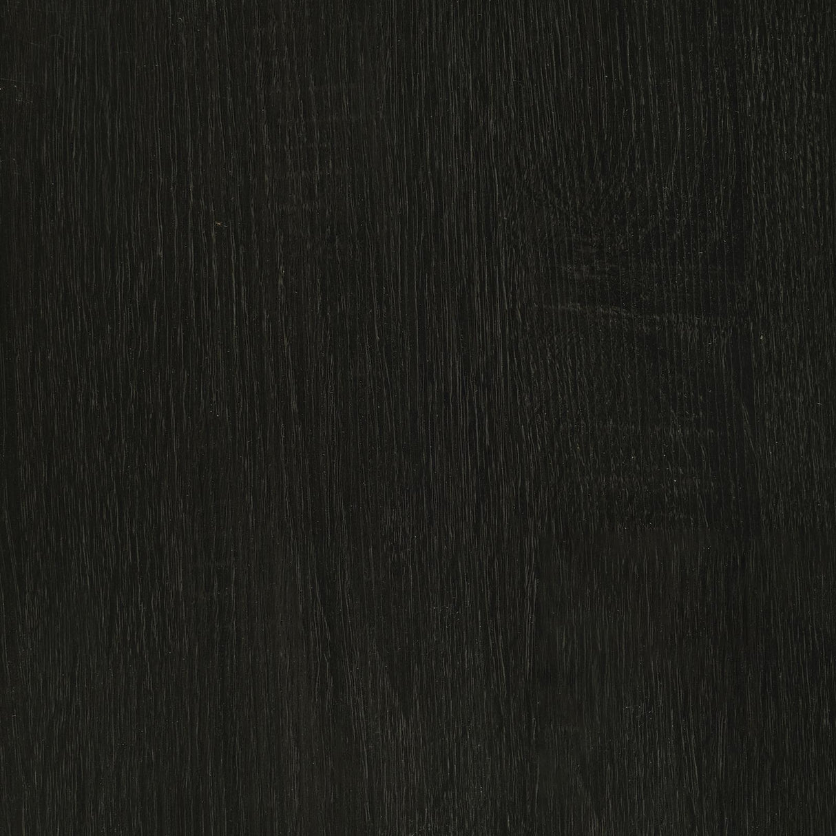 Risley Dark Charcoal 2-Door Circular LED Home Bar with Wine Storage from Coaster - Luna Furniture