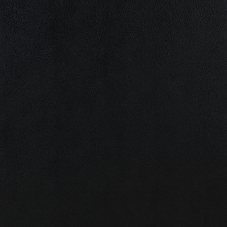 Ruth Black 2-Piece Upholstered Track Arm Faux Leather Sofa Set from Coaster - Luna Furniture