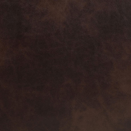 Sycamore 3-Piece Dark Brown Power Reclining Sectional from Coaster - Luna Furniture