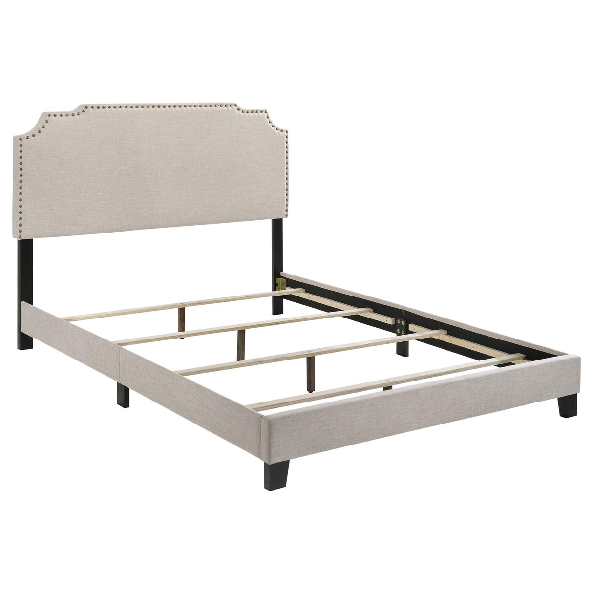 Tamarac Beige Upholstered Nailhead Queen Bed from Coaster - Luna Furniture