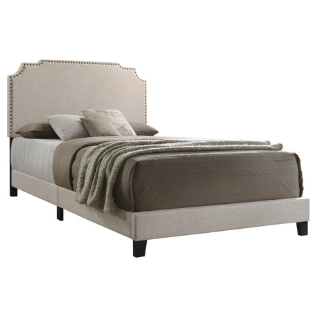 Tamarac Beige Upholstered Nailhead Queen Bed from Coaster - Luna Furniture