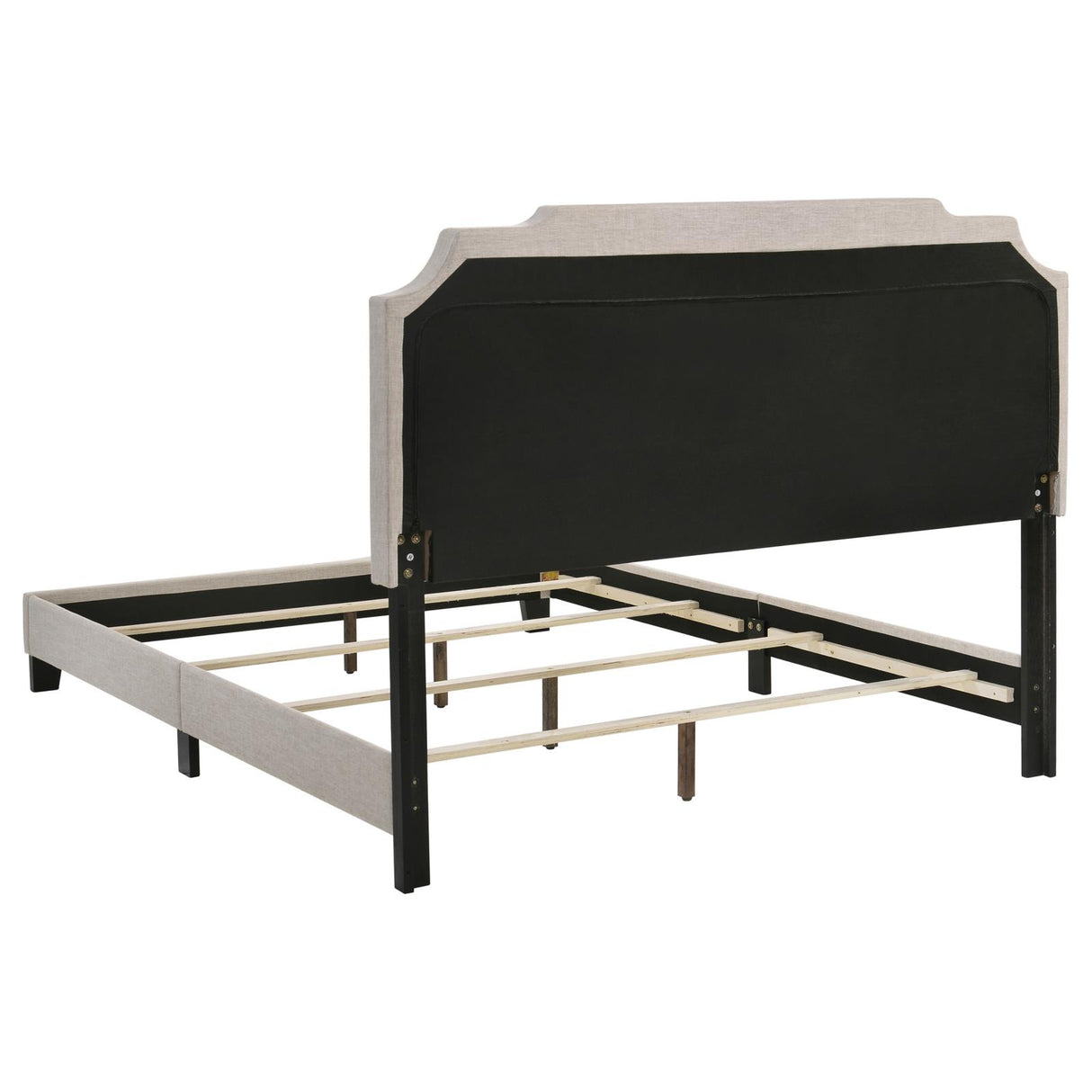 Tamarac Beige Upholstered Nailhead Queen Bed from Coaster - Luna Furniture
