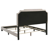 Tamarac Beige Upholstered Nailhead Queen Bed from Coaster - Luna Furniture