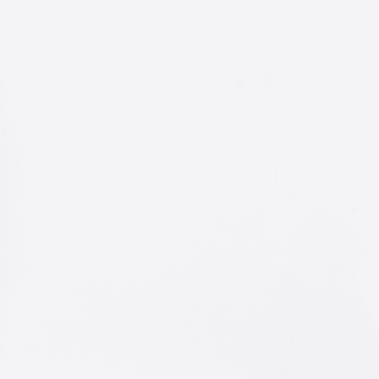 Theodore White and Chrome Upholstered Top Bar Stools, Set of 2 from Coaster - Luna Furniture