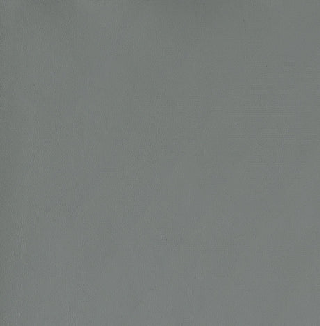 Thermosolis Gray and Chrome Acrylic Back Bar Stools, Set of 2 from Coaster - Luna Furniture