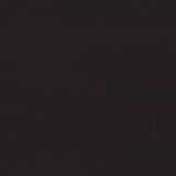 Tracy Cappuccino 2-Drawer Computer Desk from Coaster - Luna Furniture