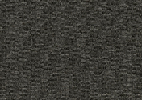 Vining Dark Gray Daybed with Trundle from Homelegance - Luna Furniture