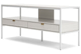 Deznee White 60" TV Stand from Ashley - Luna Furniture