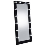 Zayan Black High Gloss Full Length Floor Mirror With Lighting from Coaster - Luna Furniture