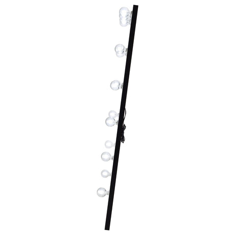 Zayan Black High Gloss Full Length Floor Mirror With Lighting from Coaster - Luna Furniture