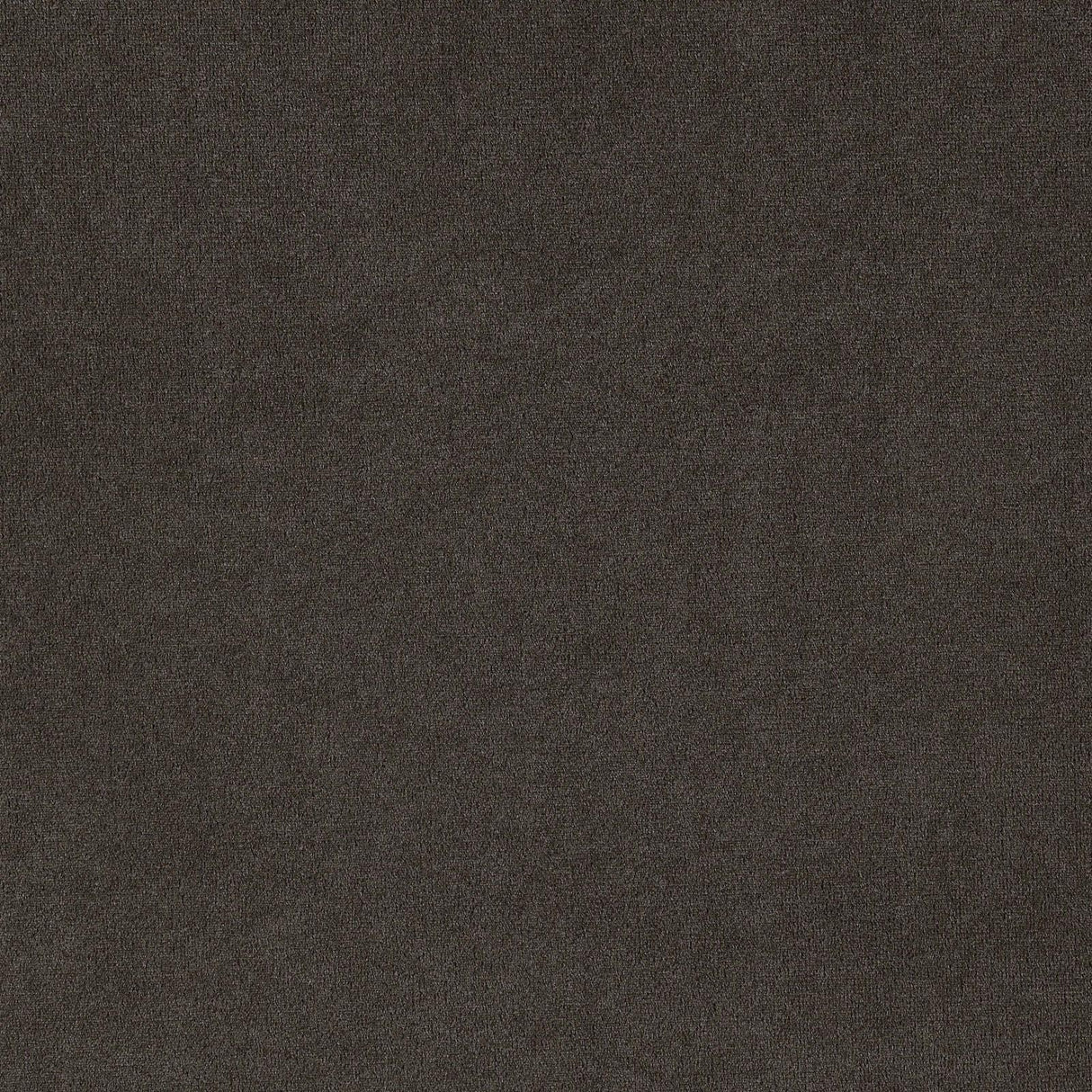 Alana Upholstered Tufted Arm Chair with Nailhead Trim from Coaster - Luna Furniture