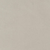 Alana Upholstered Tufted Arm Chair with Nailhead Trim from Coaster - Luna Furniture