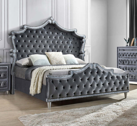 Antonella Upholstered Tufted Eastern King Bed Grey - 223581KE - Luna Furniture