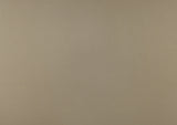 Loudon Champagne metallic finish close-up, smooth champagne surface detail