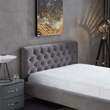 Bailey Velvet Upholstered Platform Bed King / Cognac from Ashcroft Furniture - Luna Furniture