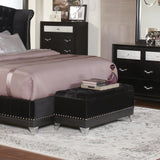 Barzini Black Tufted Rectangular Trunk with Nailhead from Coaster - Luna Furniture