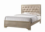 Beaumont Upholstered Eastern King Bed Champagne - 205291KE - Luna Furniture