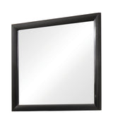 Briana Black Rectangle Dresser Mirror (Mirror Only) from Coaster - Luna Furniture
