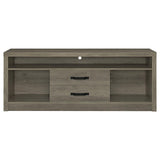 Burke Gray Driftwood 2-Drawer TV Console from Coaster - Luna Furniture