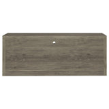 Burke Gray Driftwood 2-Drawer TV Console from Coaster - Luna Furniture