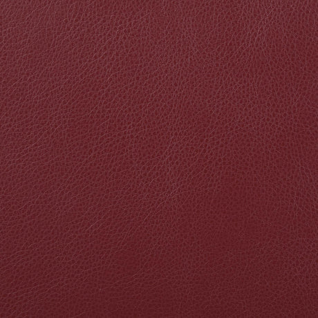 Camila Red Faux Leather Motion Reclining Loveseat from Coaster - Luna Furniture