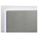 Caraway White and Gray Eastern King Bed with LED Headboard from Coaster - Luna Furniture