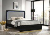 Caraway Black and Gray Queen Bed with LED Headboard from Coaster - Luna Furniture
