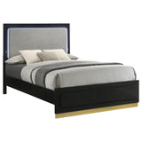 Caraway Black and Gray Queen Bed with LED Headboard from Coaster - Luna Furniture