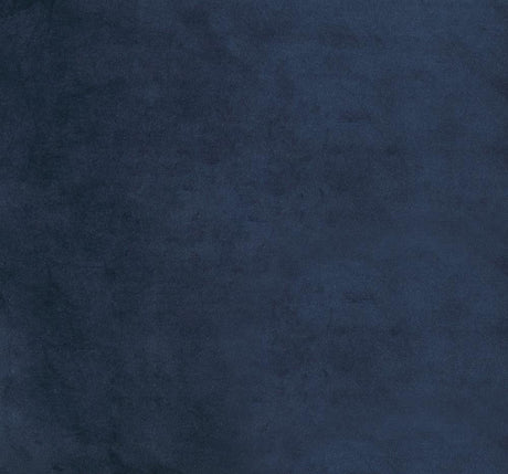 Cisco Ink Blue Tufted Back Side Chairs, Set of 2 from Coaster - Luna Furniture