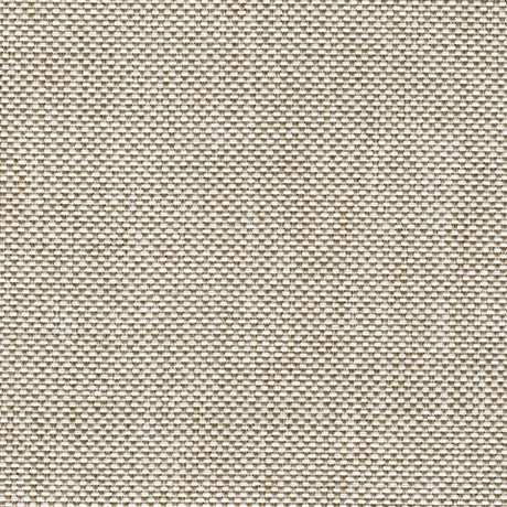 Coastline Bay Brown Outdoor Sofa with Cushion from Ashley - Luna Furniture