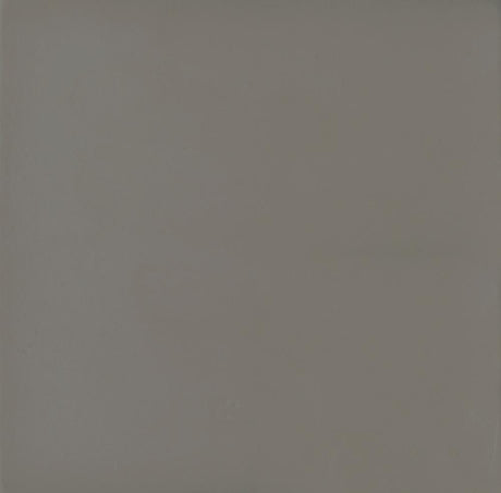 Deepika Gray Driftwood 4-Panel Folding Screen from Coaster - Luna Furniture