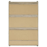 Denia Antique Pine and Gray 3-Tier Shoe Storage Cabinet from Coaster - Luna Furniture