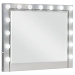 Eleanor Metallic Rectangular Mirror with Light - 223464 - Luna Furniture