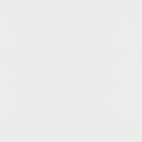 Elsa White and Gold 2-Door Accent Cabinet with Adjustable Shelves from Coaster - Luna Furniture