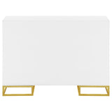 Elsa White and Gold 2-Door Accent Cabinet with Adjustable Shelves from Coaster - Luna Furniture