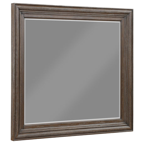 Emmett Rectangular Dresser Mirror Walnut - 224444 - Luna Furniture