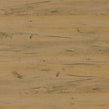 Fanning Golden Oak and Black Square End Table with Open Compartment from Coaster - Luna Furniture