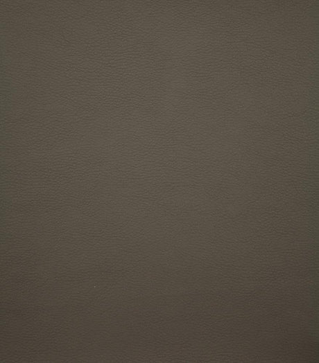 Gervase Gray and Chrome Square Bar Stool from Coaster - Luna Furniture